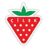 Çilek Mobilya