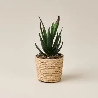 Evidea Deco Hasır Saksı Yapay Aloe Vera - Bej / Yeşil - 14x6 cm