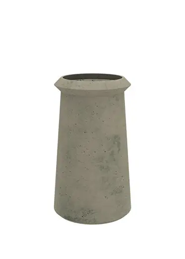 Bulbi Agapantus Verde Foglia Yeşil Beton Saksı