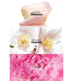 Avon Celebre Kadın Parfüm Edt 50 Ml. 5