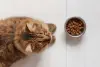 LaVital Tavuklu Kızılcık ve Kadife Çiçekli Kısırlaştırılmış Yetişkin Kedi Konservesi 85gr 5
