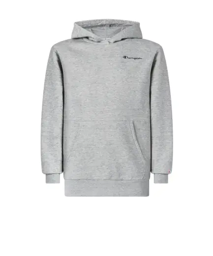 Champion Amazon Hoodie Sweatshirt