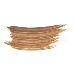 Phyto-Sourcils Fix 3
