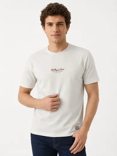 Regular Fit Erkek Tshirt K.kol