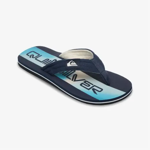 Quiksilver Molokai Layback Erkek Siyah Terlik