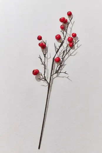 Fruit 68 cm Kırmızı