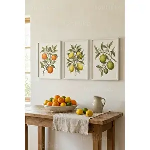Tontilika Botanical Narenciye Temalı 3’lü Ahşap Çerçeveli Tablo Seti 50 x 70 cm