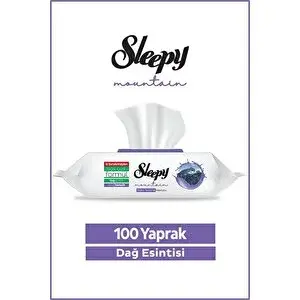 Sleepy Mountain Yüzey Temizlik Havlusu&mendili Dağ Esintisi 100 Yaprak