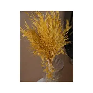 Sari Yulaf 65 Dal 45cm
