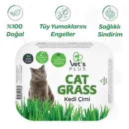 INABA Ciao Churu Bisque Tavuklu Kedi Ödül Maması 40gr 9