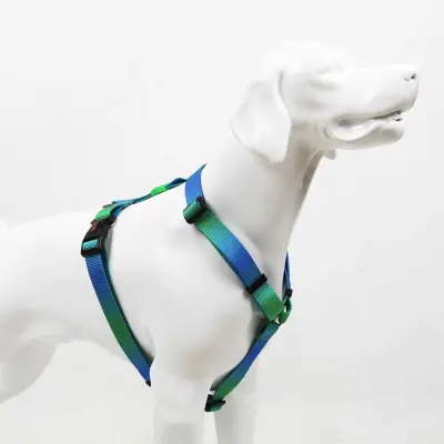 Tailpetz Amazon H-Harness Köpek Göğüs Tasması [XS]