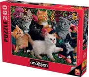 Anatolian 3327 Oyuncu Kediler 260 Parça Puzzle
