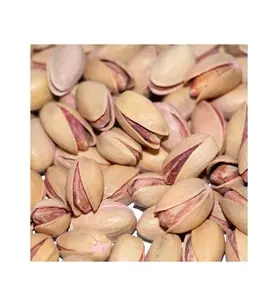 Siirt Fıstığı 1.Kalite Ana Çatlak Net 450 GR Hediyelik Kutu