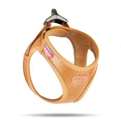 Curli Elma Liflerinden Bitkisel Deri Köpek Göğüs Tasması 49,1–55,4cm (Kahverengi) [L]