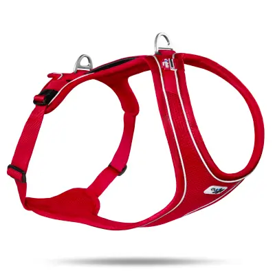 Curli Belka Comfort Harness Köpek Göğüs Tasması 58x62cm (Kırmızı) [XS]