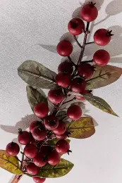Fruit 83 cm Kırmızı 3