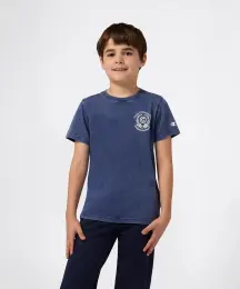 Champion Icons Wash Short-Sleeve Tee 1