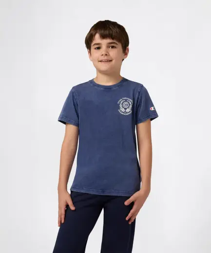 Champion Icons Wash Short-Sleeve Tee