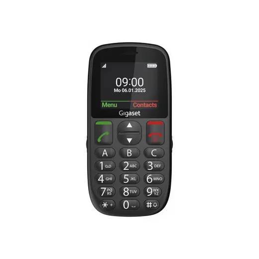 1001 GL395 Tuşlu Cep Telefonu Gümüş (Siyah)