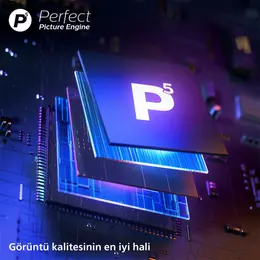 Philips 65PUS9000/62 65 inç 165 Ekran 4K UHD Titan OS Ambilight TV 5