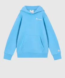 Champion Amazon Hoodie Sweatshirt 2