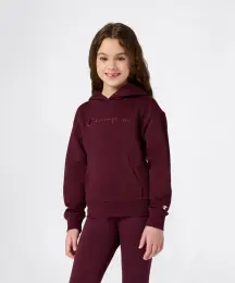 Champion Icons Hooded Sweatshirt 1