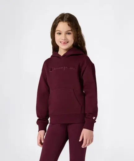 Champion Icons Hooded Sweatshirt