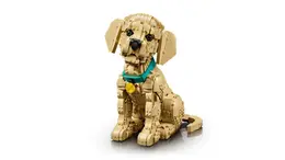 11384 LEGO® Icons Yavru Golden Retriever 3