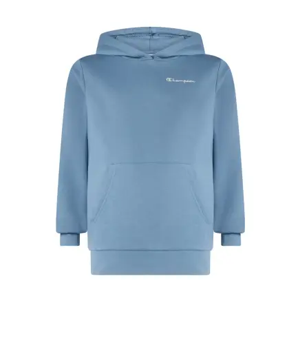 Champion Amazon Hoodie Sweatshirt
