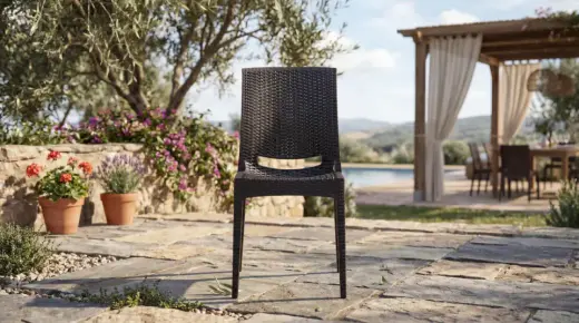 Rattan Sandalye