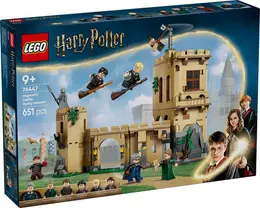 76447 LEGO® Harry Potter™ Hogwarts™ Şatosu: Uçuş Dersleri 2