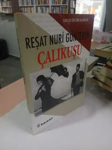 Çalıkuşu / Gençler İçin Özet