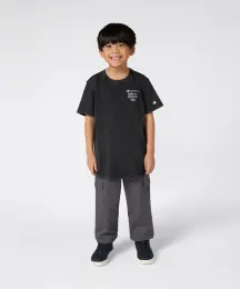 Champion Icons Wash Short-Sleeve Tee 4