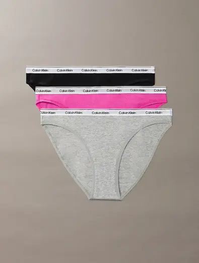 Kadın 3'lü Paket Bikini Külot