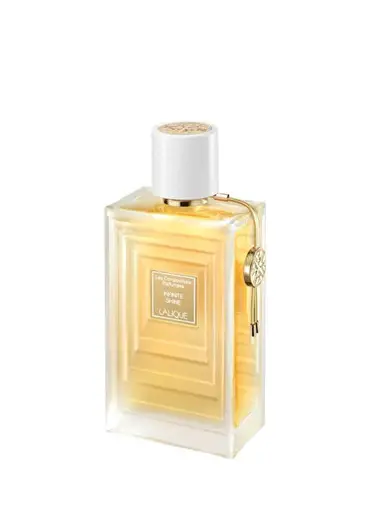 Les Compositions Infinite Shine EDP 100 ml Kadın Parfüm
