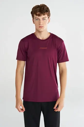 BARNES KISA KOLLU TİŞÖRT Bordo Erkek Tişört