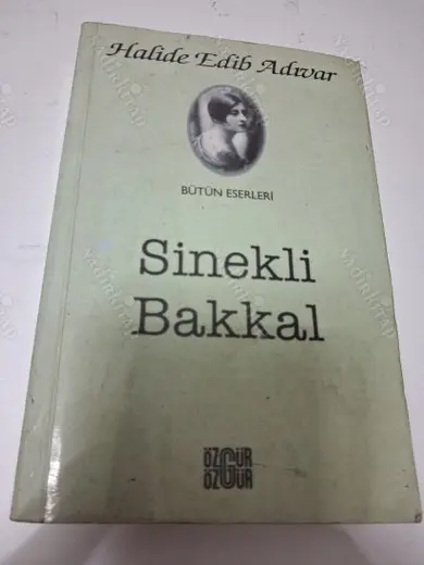 SİNEKLİ BAKKAL ( Selim İleri'nin Bitiriş Yazısı ile)