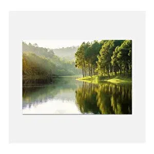 Tablo Center Orman Manzara Kanvas Tablo 50x70cm