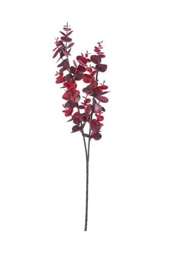 Mürdüm Leaves 40 cm
