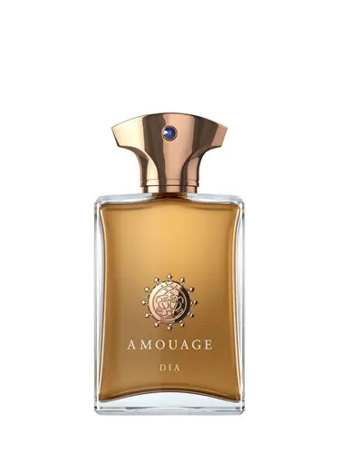 Dia EDP 100 ml Erkek Parfüm