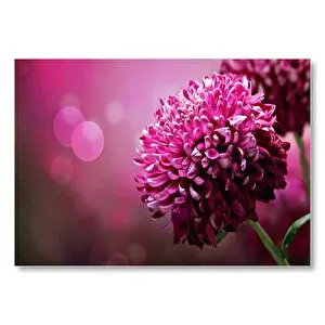 Cakatablo Lila Rengi Çiçek Yakın Çekim Flu Arkaplan Mdf Ahşap Tablo 25x35 cm