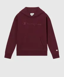 Champion Icons Hooded Sweatshirt 2