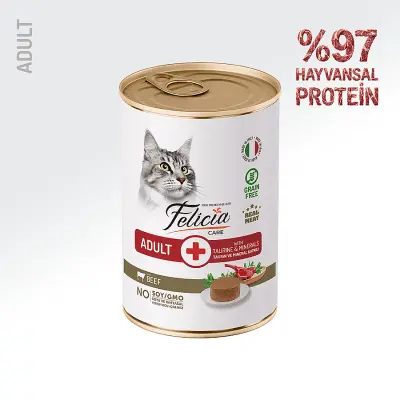 Felicia Pate Biftekli Tahılsız Yetişkin Kedi Konservesi 400gr