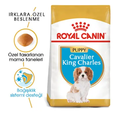 Royal Canin Puppy Cavalier King Charles Yavru Köpek Maması 1,5kg
