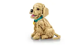 11384 LEGO® Icons Yavru Golden Retriever 5