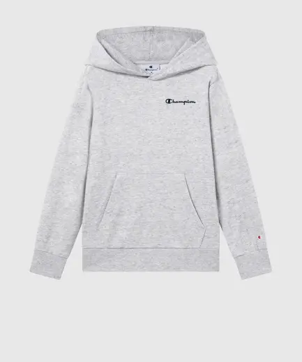 Champion Icons Hooded Sweatshirt