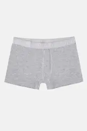 Gri Regular Düz Boxer 1