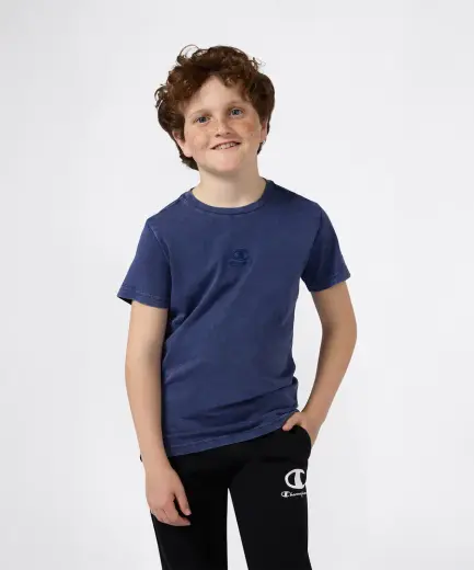 Champion Icons Wash Short-Sleeve Tee