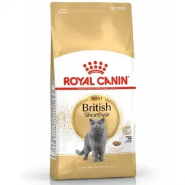 Royal Canin British Shorthair Yetişkin Kedi Maması 2 Kg 4