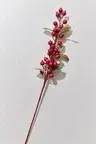 Fruit 83 cm Kırmızı 8